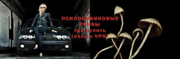 хмурый Богданович