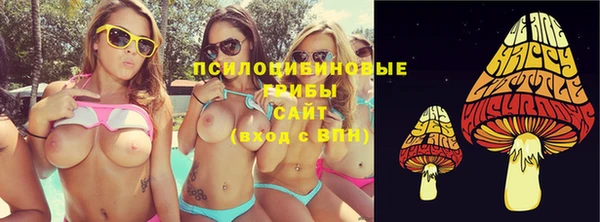 хмурый Богородск