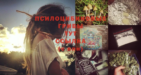 наркотики Новозыбков