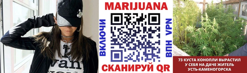 продажа наркотиков  Уссурийск  Конопля Ganja 